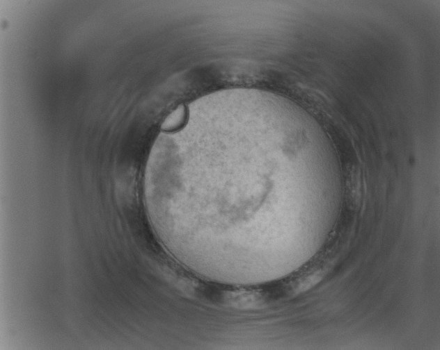 X0000062870511200601171425