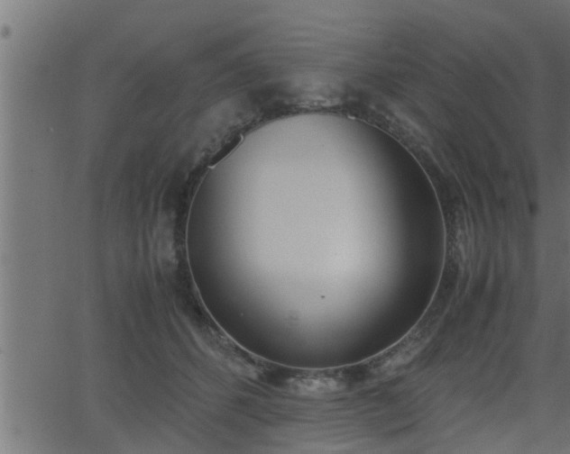 X0000062870512200601171425