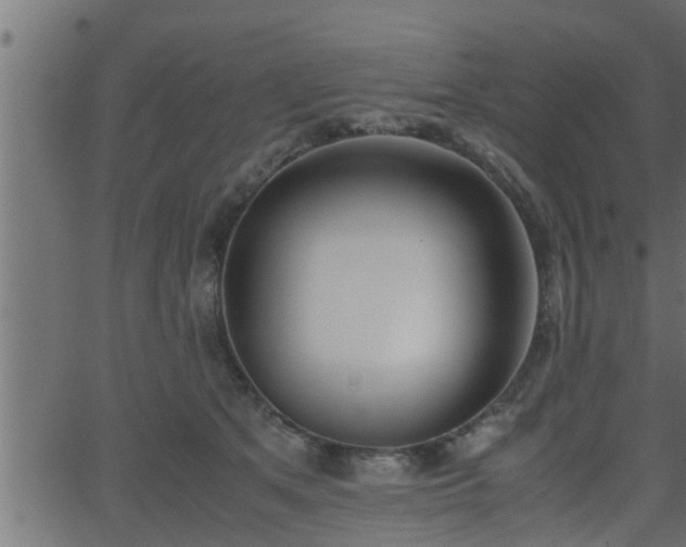 X0000062870513200601171425