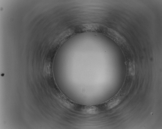 X0000062870514200601171425