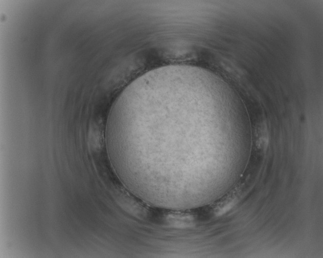 X0000062870515200601171425