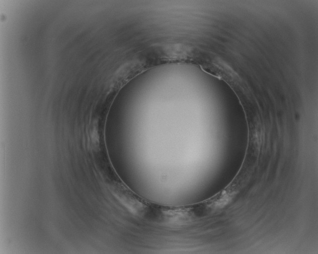 X0000062870516200601171425