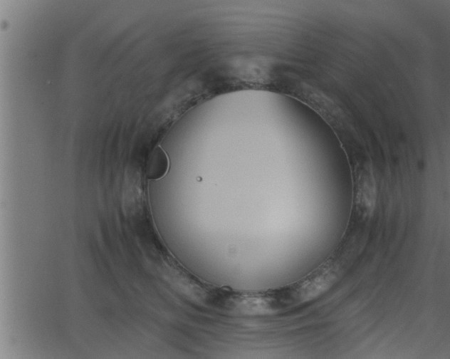 X0000062870518200601171425