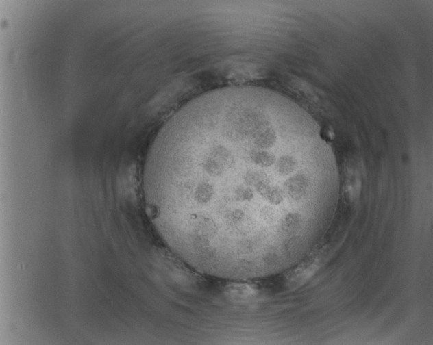 X0000062870519200601171425