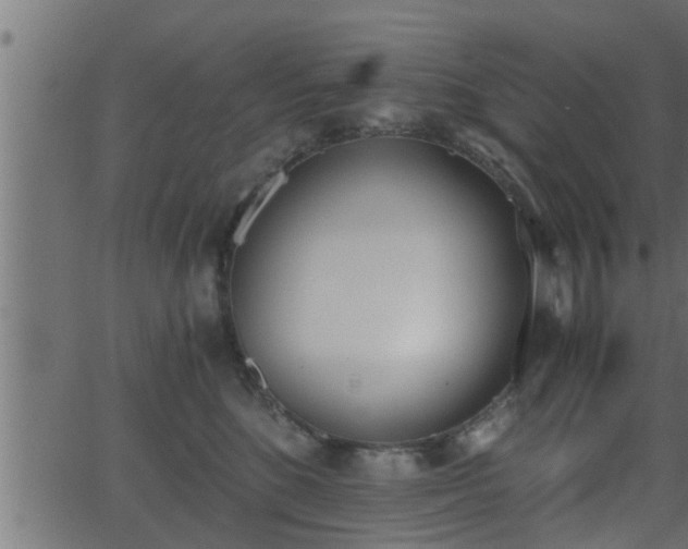 X0000062870520200601171425