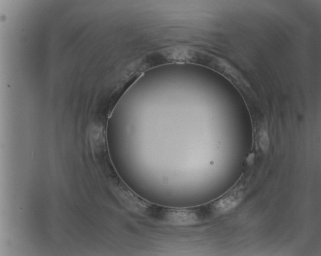 X0000062870521200601171425