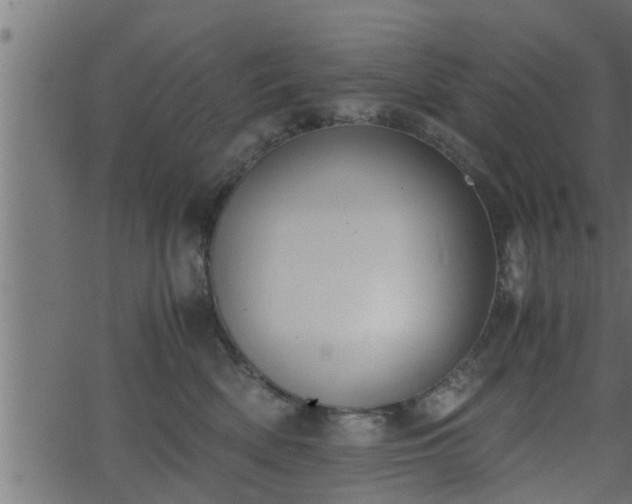 X0000062870522200601171425