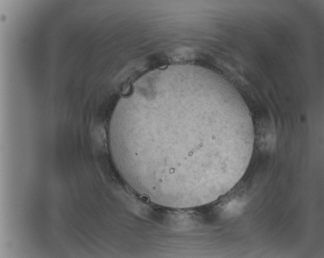 X0000062870523200601171424