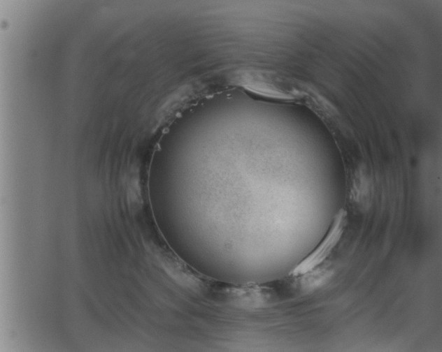 X0000062870524200601171424