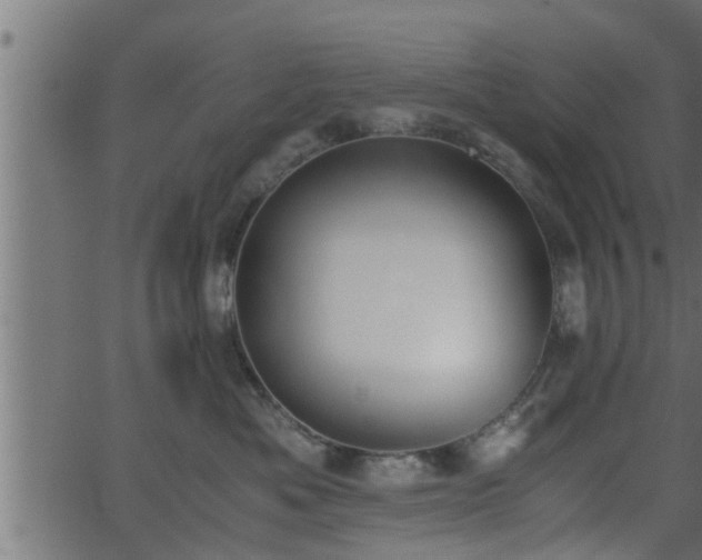 X0000062870525200601171424