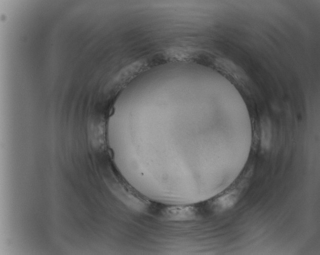 X0000062870526200601171424