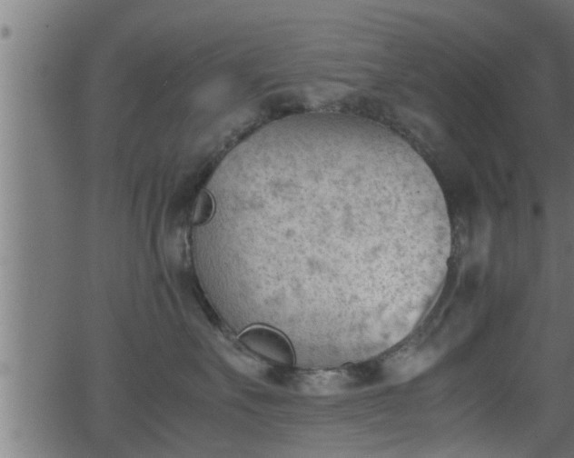 X0000062870527200601171424