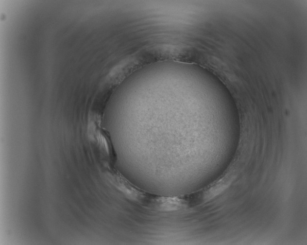 X0000062870528200601171424