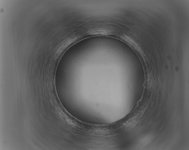 X0000062870529200601171424