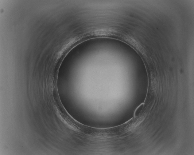 X0000062870530200601171424