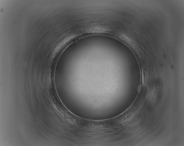 X0000062870531200601171424