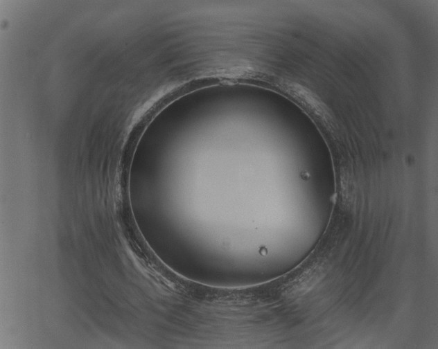 X0000062870532200601171424