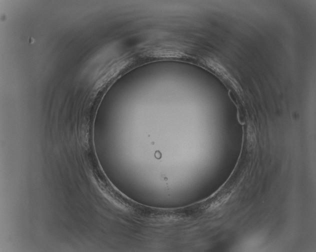 X0000062870533200601171424