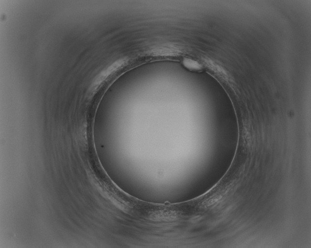 X0000062870535200601171424