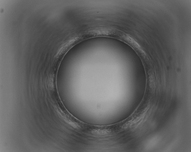 X0000062870537200601171424