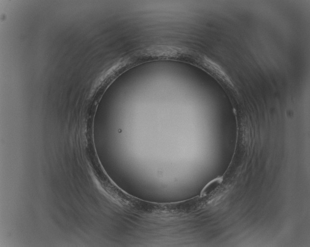 X0000062870538200601171424