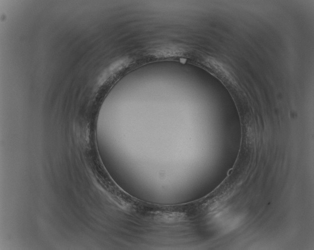 X0000062870539200601171424