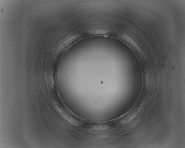 X0000062870541200601171424