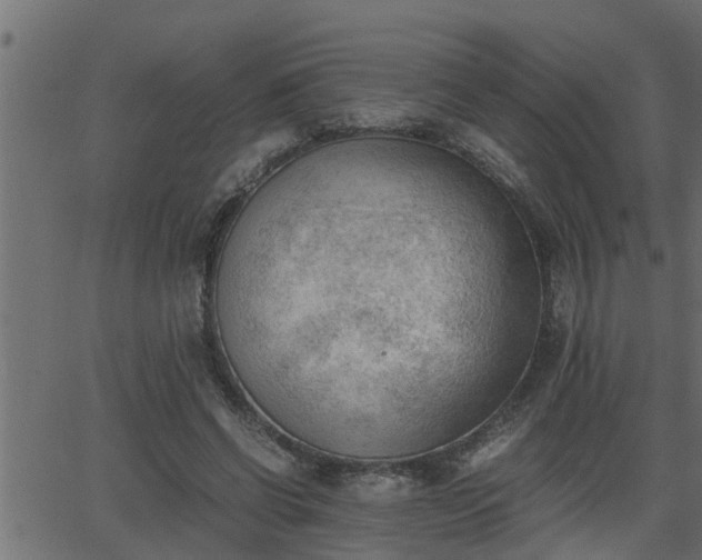 X0000062870542200601171424