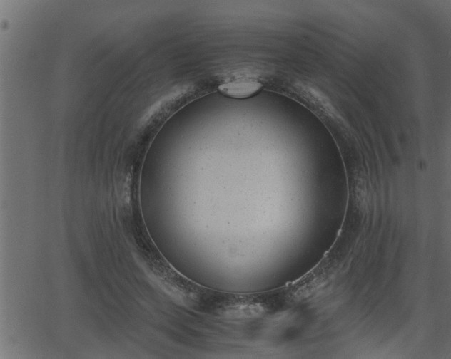 X0000062870543200601171424