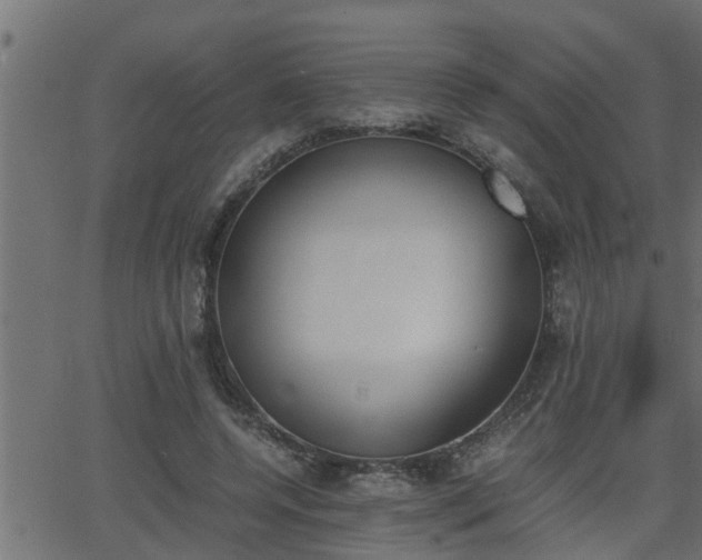 X0000062870544200601171424