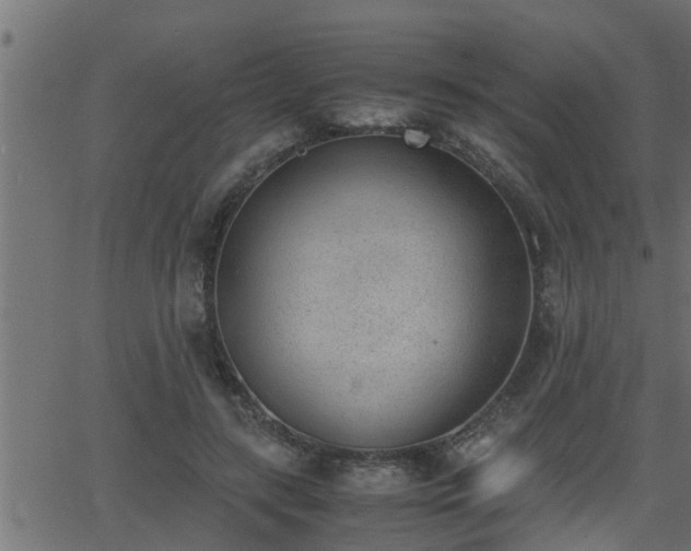 X0000062870547200601171424