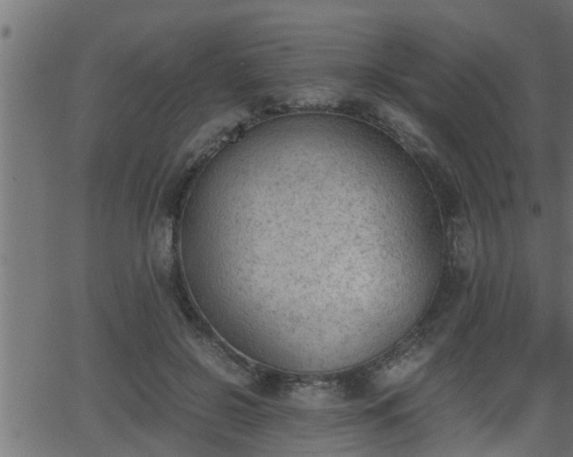 X0000062870550200601171424