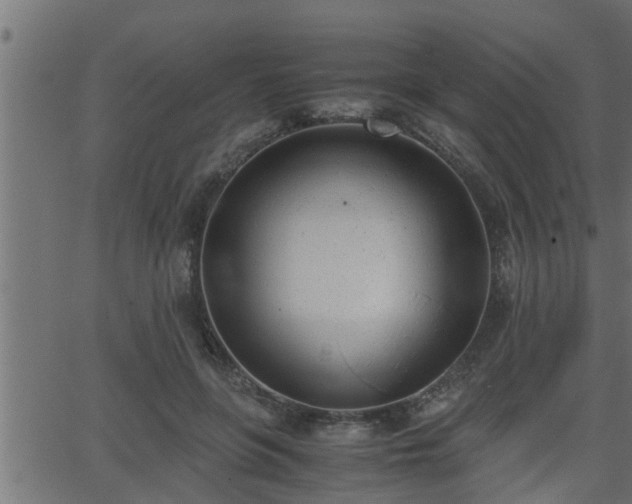 X0000062870551200601171424