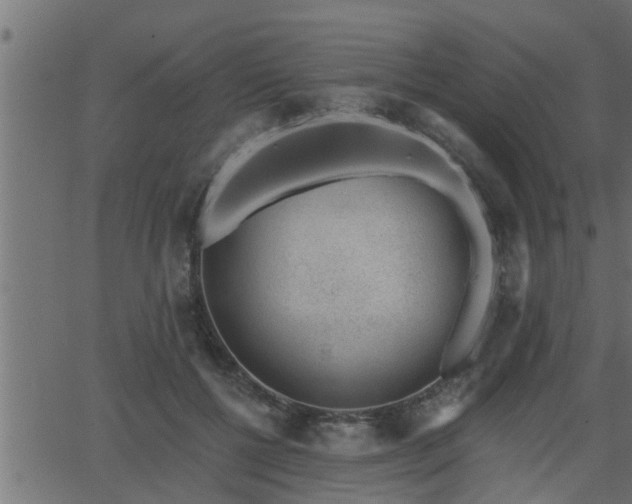 X0000062870552200601171424