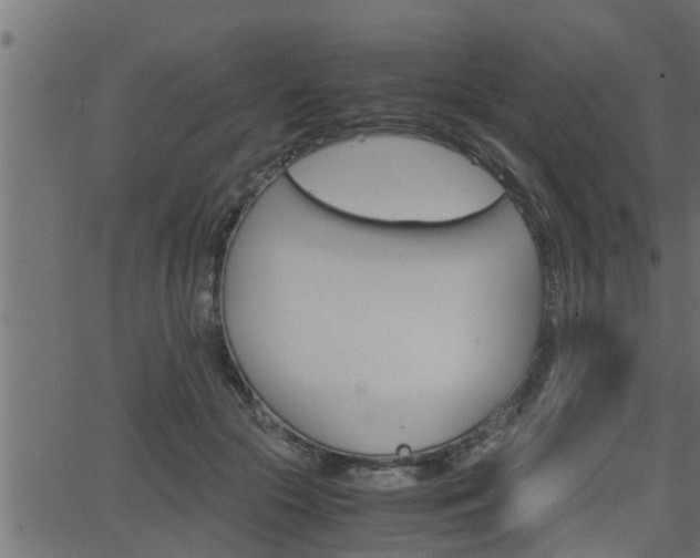 X0000062870553200601171424