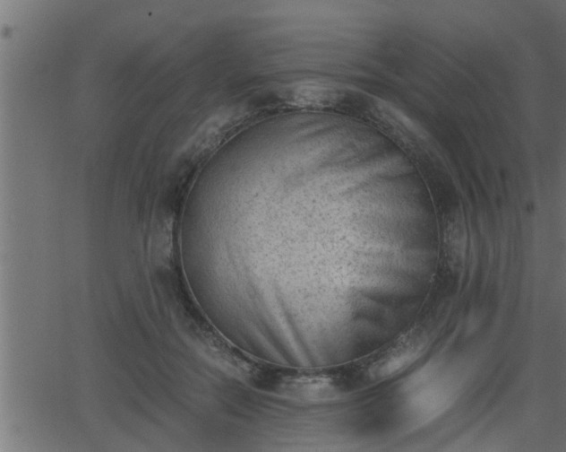 X0000062870554200601171424