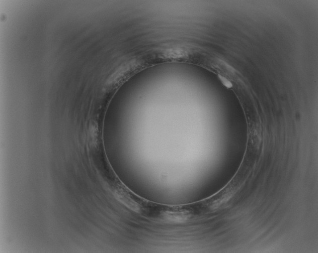 X0000062870556200601171424