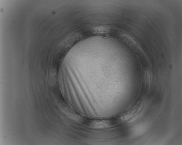 X0000062870557200601171424