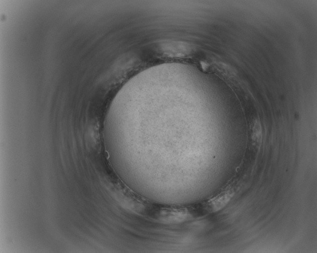 X0000062870559200601171424