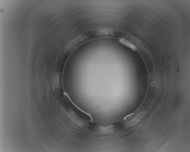 X0000062870560200601171424