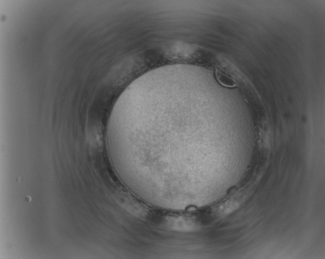 X0000062870561200601171424