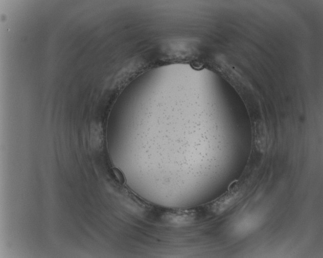 X0000062870563200601171424