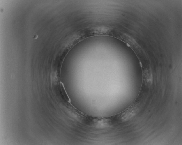 X0000062870564200601171424