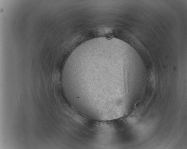 X0000062870565200601171424