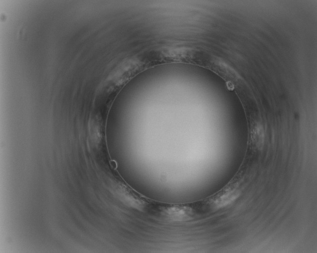 X0000062870566200601171424