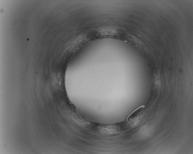 X0000062870567200601171424