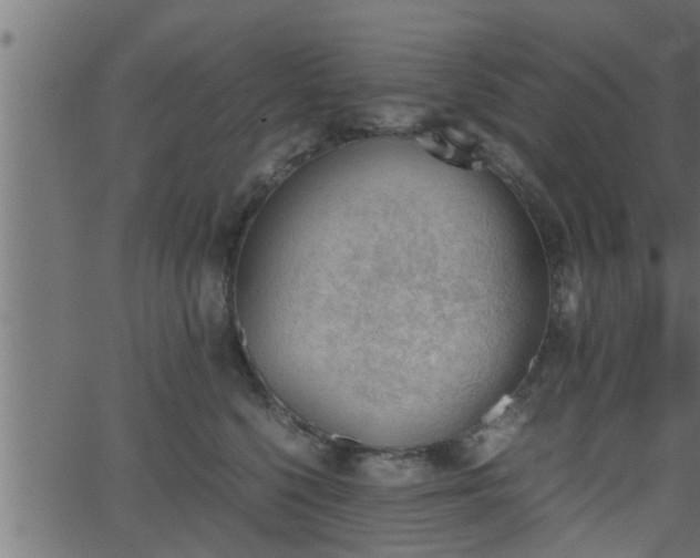 X0000062870568200601171424