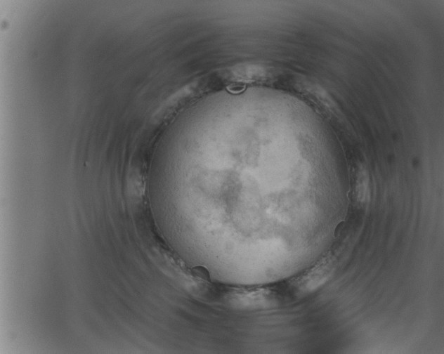 X0000062870569200601171424