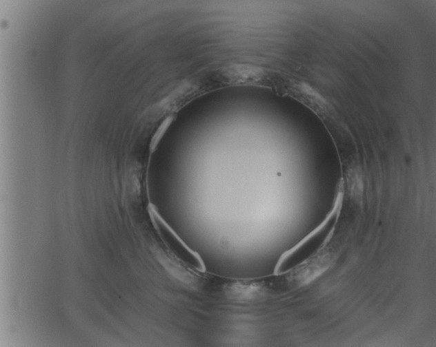 X0000062870570200601171424