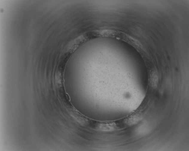 X0000062870571200601171424